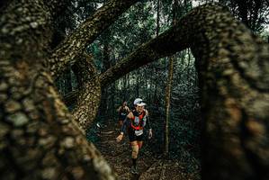 BIB: 
                            <button type="button" onclick="openModal(25671226)" class="btn btn-primary btn-sm float-right btn-popup" data-toggle="modal" data-target=".modal-high-quality">
                        <i class="fas fa-shopping-cart"></i> Add to Cart
                    </button>
                                            <button type="button" onclick="isThisMe(25671226, true)" class="btn btn-success btn-sm float-right btn-popup btn-isme hidden" data-toggle="tooltip" data-placement="bottom" title="นี่คือรูปของคุณใช่ไหม คลิกที่นี่เพื่อเอาเข้าอัลบั้ม">
                        <i class="fas fa-plus"></i> Add to album
                    </button>
                    <button type="button" onclick="isThisMe(25671226, false)" class="btn btn-warning btn-sm float-right btn-popup btn-isnotme hidden">
                        <i class="fas fa-ban"></i> Remove from album
                    </button>